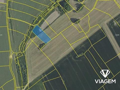 Prodej podílu pole, Radějovice, 724 m2