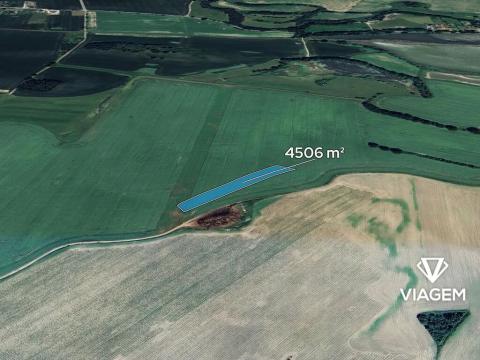 Prodej podílu pole, Čejetice, 1126 m2