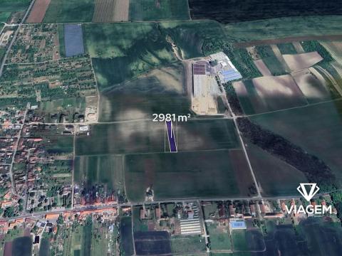 Prodej podílu pole, Hrušovany nad Jevišovkou, 255 m2