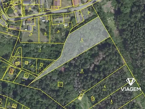 Prodej lesa, Sýkořice, 3177 m2