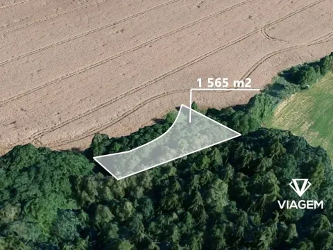 Prodej podílu pole, Borek, 782 m2