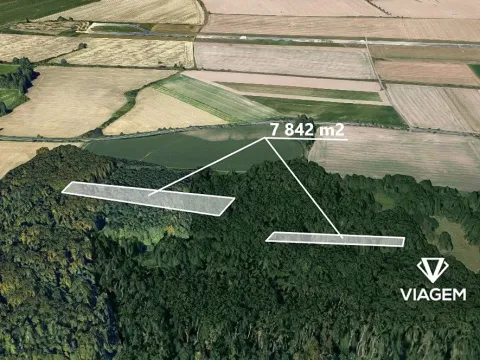 Prodej lesa, Kravaře, 7842 m2