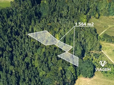 Prodej lesa, Železný Brod, 1564 m2
