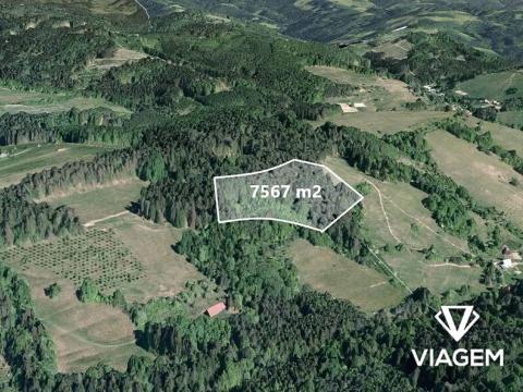 Prodej pole, Francova Lhota, 7567 m2