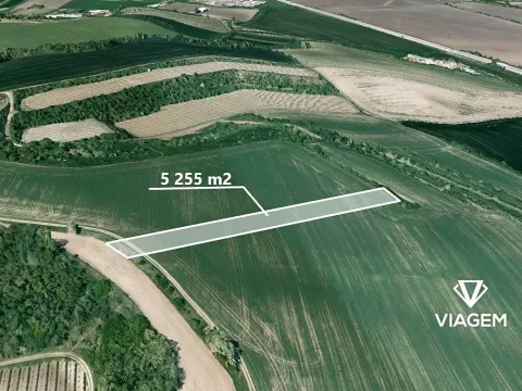 Prodej podílu pole, Blučina, 1751 m2