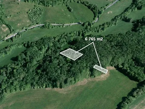 Prodej lesa, Kelníky, 6765 m2