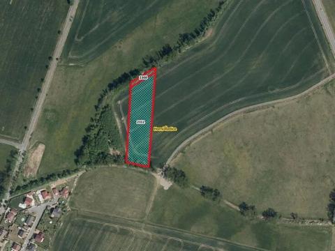Prodej pole, Horní Ředice, 7349 m2