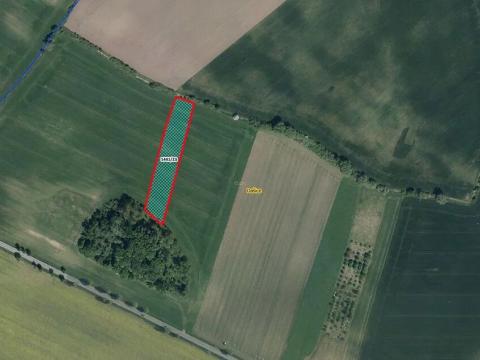 Prodej pole, Dašice, 5921 m2