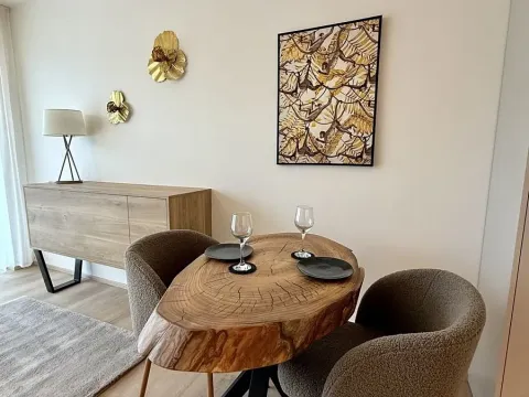 Pronájem bytu 1+kk, Brno, Bystrcká, 30 m2