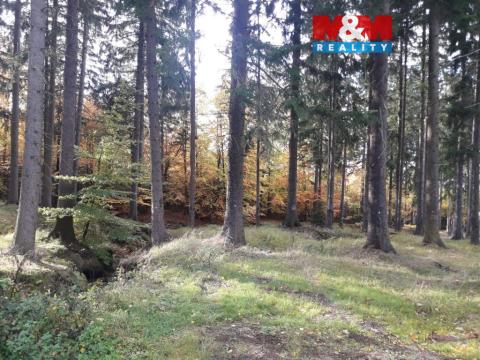 Prodej lesa, Manětín - Stvolny, 12970 m2