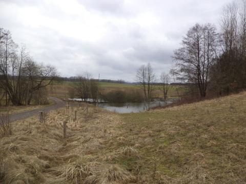 Prodej pole, Ostrov, 1500 m2