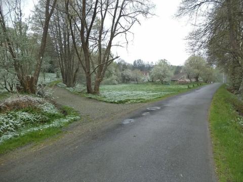 Dražba pozemku pro bydlení, Benešov nad Černou, 2520 m2