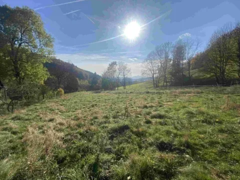 Dražba louky, Zdislava, 1384 m2