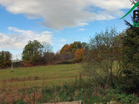 Prodej pozemku, Nalžovské Hory, 14996 m2