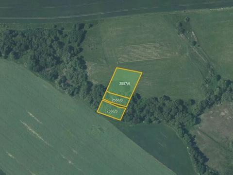 Prodej louky, Vítkov, 5637 m2