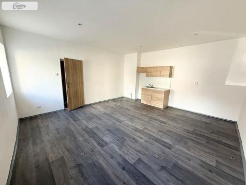 Pronájem bytu 1+kk, Chabařovice, Nádražní, 32 m2
