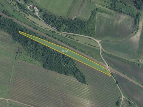 Prodej sadu/vinice, Novosedly, 6655 m2