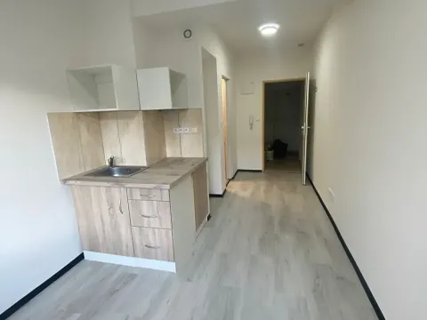 Pronájem bytu 1+kk, Praha - Hlubočepy, Na Zlíchově, 14 m2