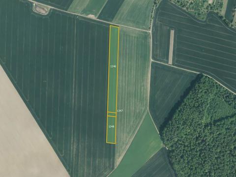 Prodej pole, Počenice-Tetětice, 24141 m2