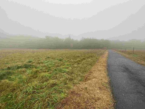 Prodej pole, Verneřice, 22839 m2