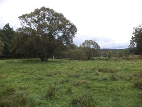 Prodej pozemku, Mirotice - Lučkovice, 177 m2