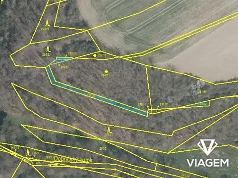 Prodej lesa, Kaceřov, 306 m2