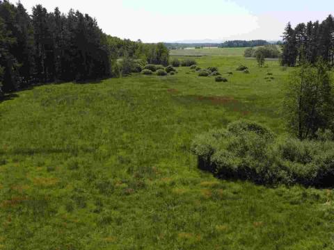 Prodej pozemku, Jílovice, 20535 m2