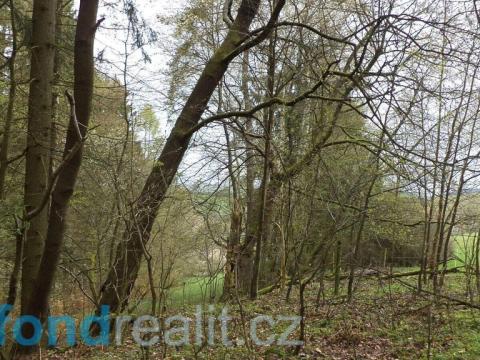 Prodej pole, Bělá nad Radbuzou, 1208 m2