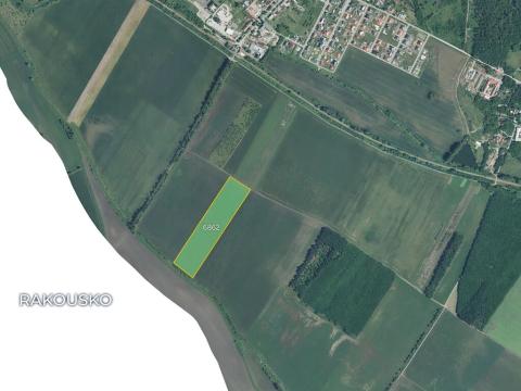 Prodej pole, Březí, 39248 m2