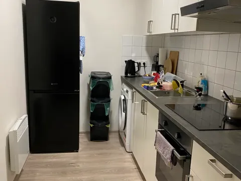 Pronájem bytu 1+kk, Brno, Křenová, 30 m2