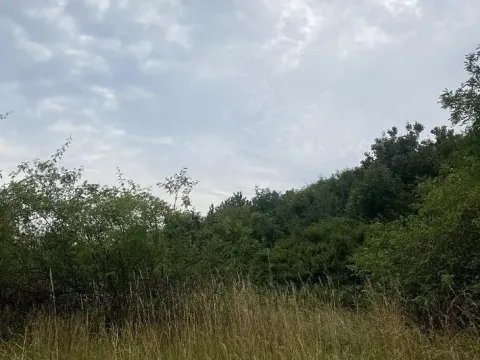 Dražba pozemku, Praha - Michle, 8863 m2