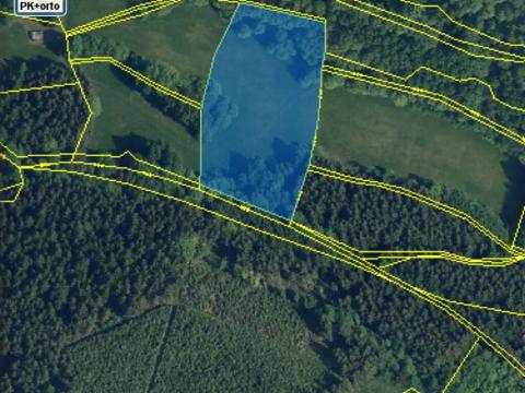 Prodej louky, Benecko, 10668 m2