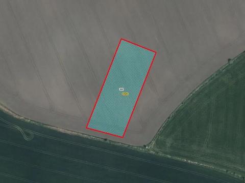 Prodej pole, Kněžice, 5667 m2