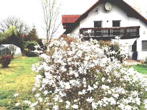 Dražba rodinného domu, Bělá nad Radbuzou, 270 m2