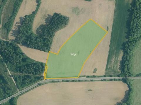 Prodej pole, Velký Bor, 34439 m2