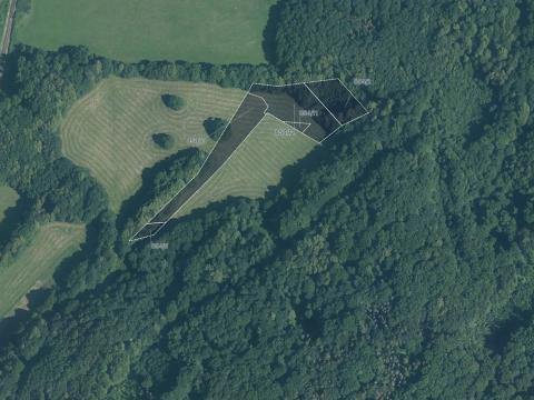 Prodej louky, Veřovice, 9985 m2