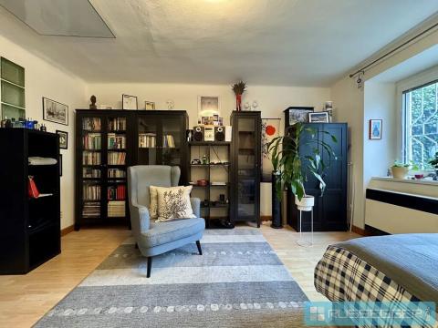 Pronájem bytu 1+kk, Brno, Sýpka, 29 m2