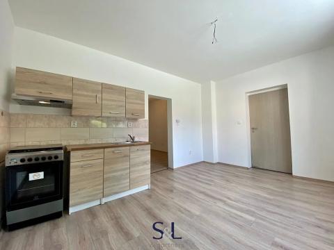 Pronájem bytu 1+1, Nový Bor, Riegrova, 30 m2