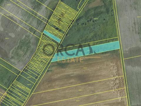 Prodej pole, Podivín, 2403 m2