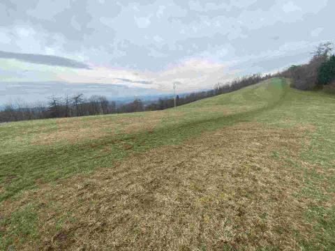 Prodej pozemku, Mírová pod Kozákovem - Vesec, 2000 m2