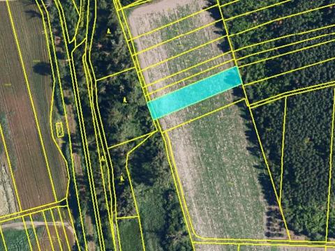 Prodej pole, Podivín, 1723 m2