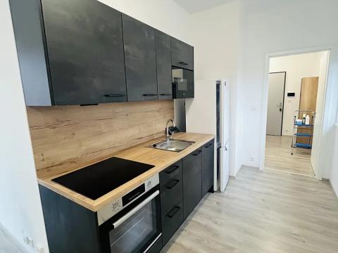 Pronájem bytu 1+kk, Lovosice, Zámecká, 60 m2