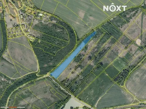 Prodej louky, Staňkovice, 13583 m2