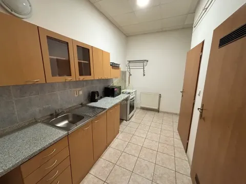 Pronájem bytu 2+1, Plzeň, Lindauerova, 55 m2