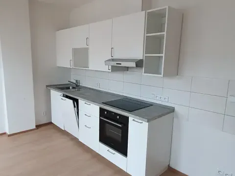 Pronájem bytu 2+kk, Praha - Michle, Pobočná, 56 m2