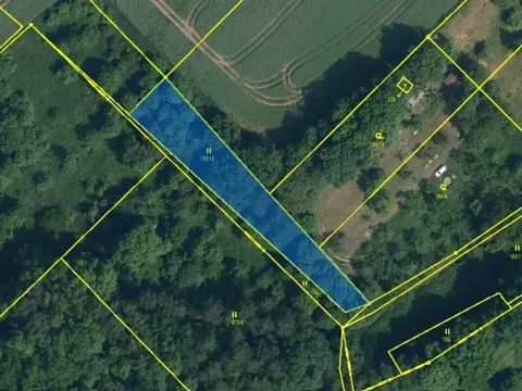 Prodej louky, Svijany, 1799 m2