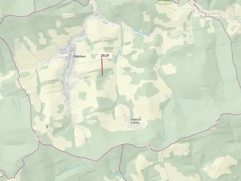 Dražba lesa, Zděchov, 867 m2