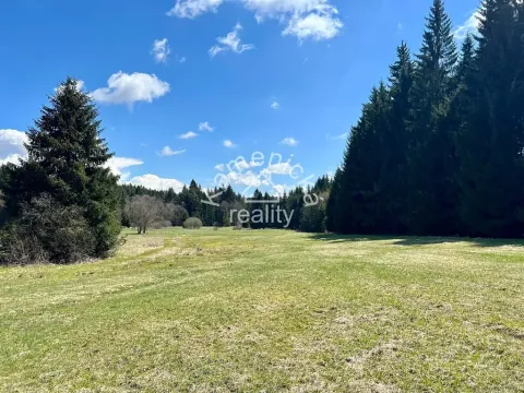 Prodej komerčního pozemku, Černá v Pošumaví, 25271 m2