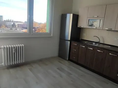 Pronájem bytu 1+1, Ostrava, Ahepjukova, 37 m2