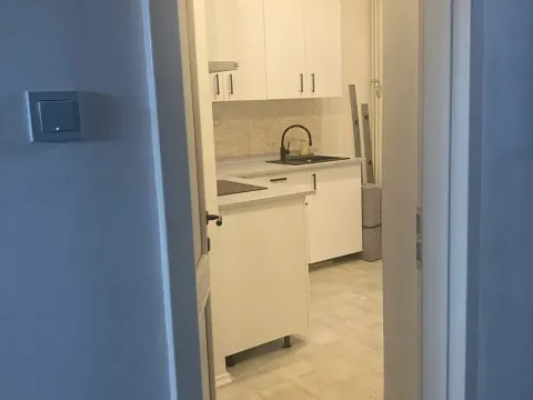 Pronájem bytu 1+1, Litoměřice, Šaldova, 37 m2